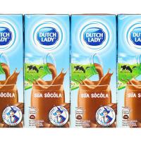Dutch Lady Chocolate Milk/ Cô Gái Hà Lan Sữa Socola